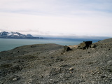 Picture from Svalbard 63.