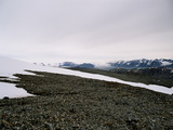 Picture from Svalbard 63.