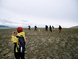 Picture from Svalbard 63.