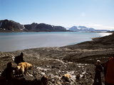 Picture from Svalbard 63.
