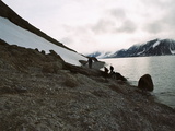 Picture from Svalbard 63.