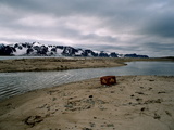 Picture from Svalbard 63.