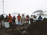 Picture from Svalbard 33.